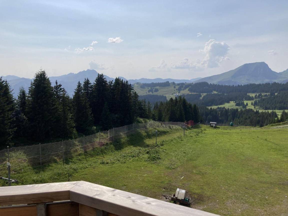 foto12