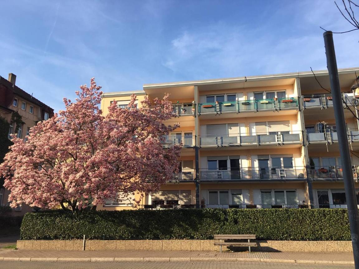 96 M² Ferienwohnung ∙ 3 Schlafzimmer ∙ 6 Gäste - Auggen