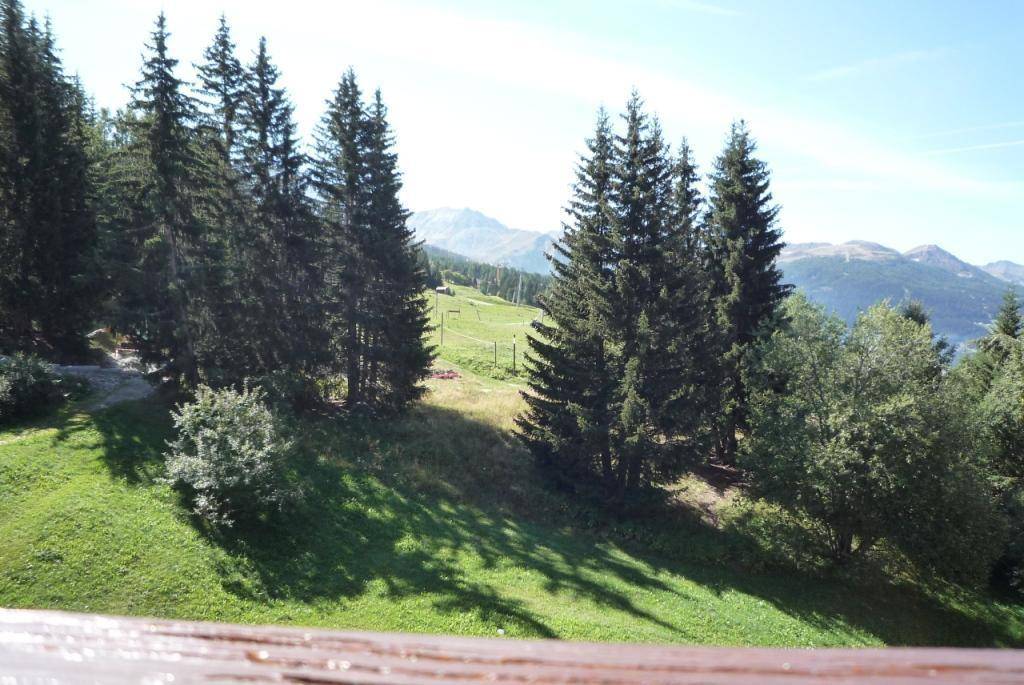 foto12