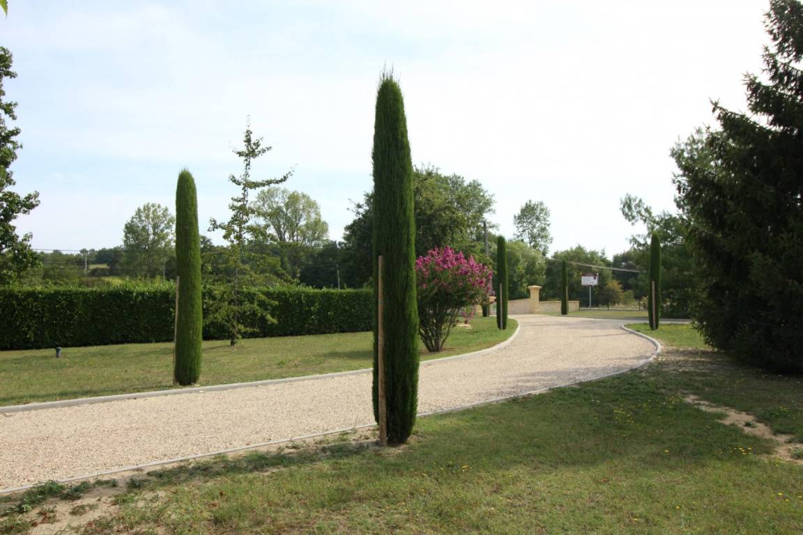 foto10