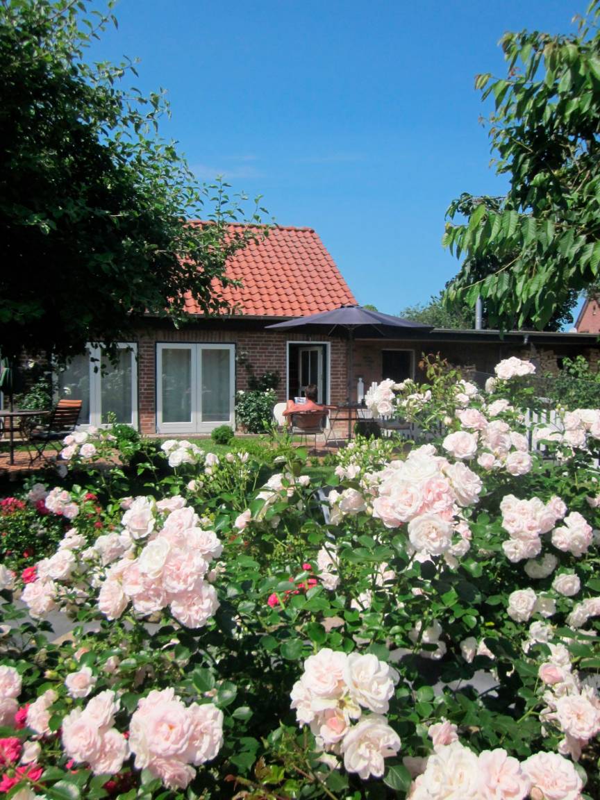 55 m² Ferienwohnung ∙ 2 Schlafzimmer ∙ 4 Gäste – Bild 2