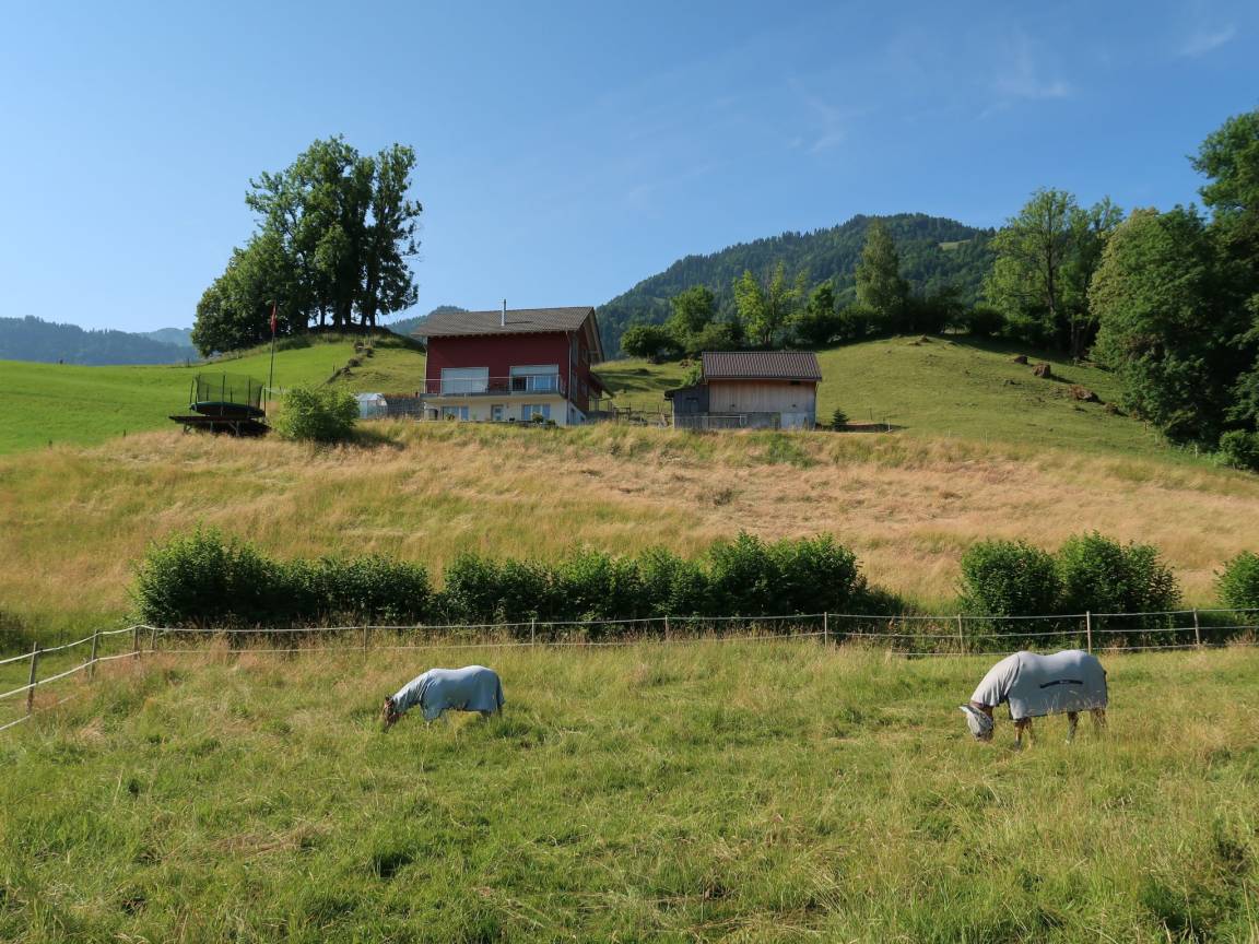 45 M² Ferienwohnung ∙ 1 Schlafzimmer ∙ 2 Gäste - Kanton Schwyz