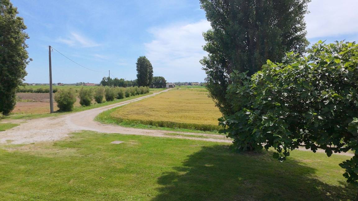 foto42