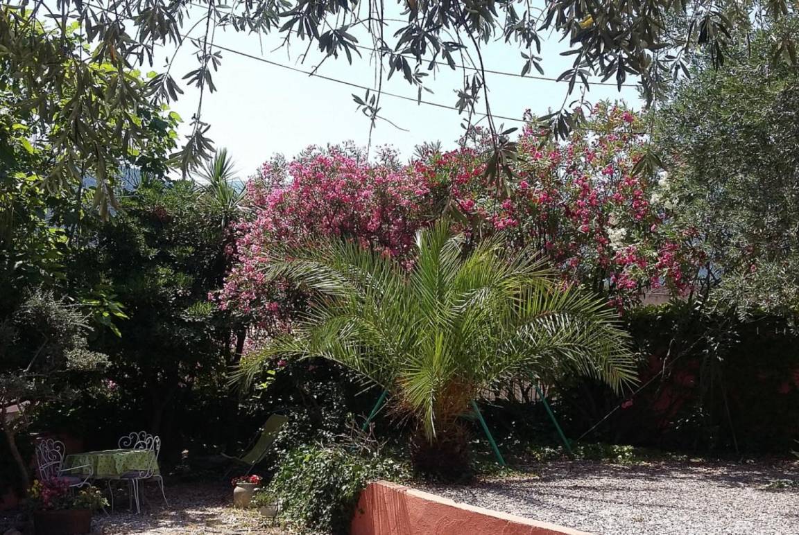 foto17