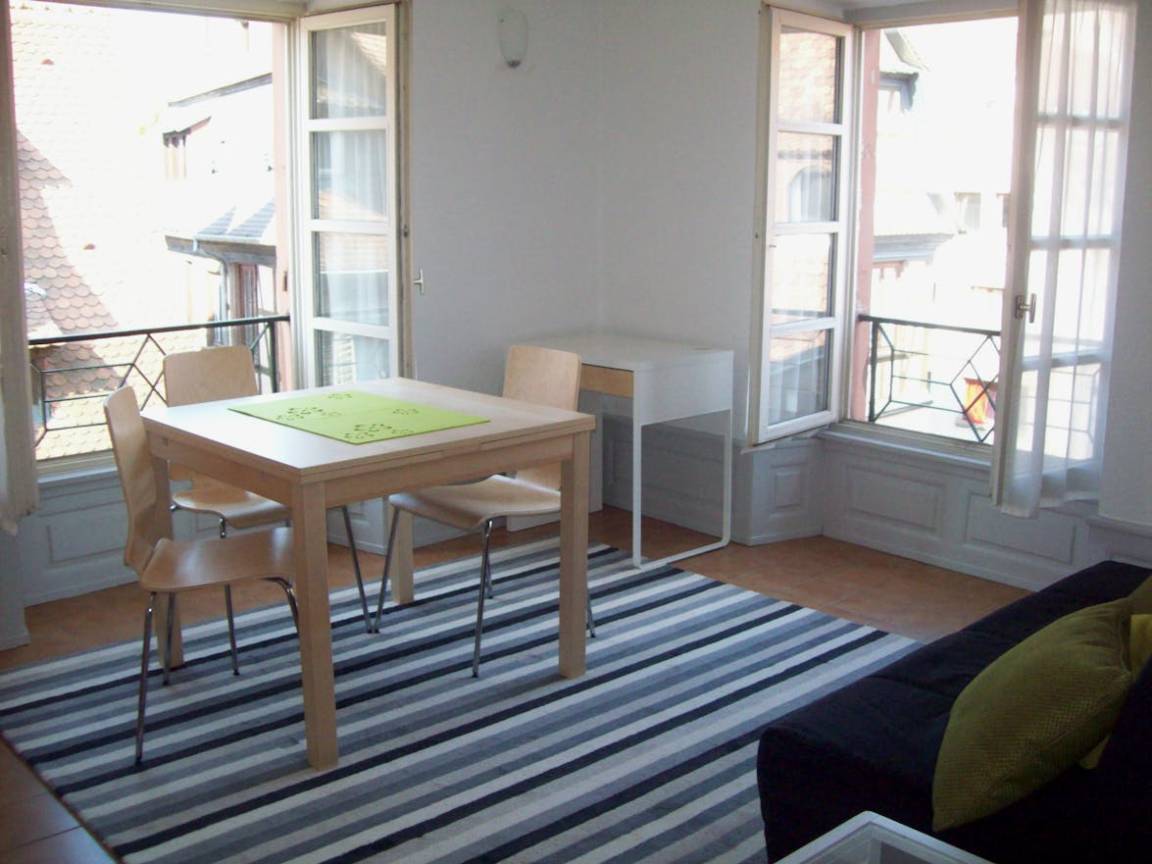 37 M² Appartement ∙ 1 Chambre ∙ 2 Personnes - ibis Strasbourg Centre Historique