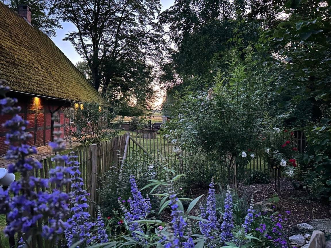 60 m² Ferienhaus ∙ 1 Schlafzimmer ∙ 3 Gäste – Bild 14