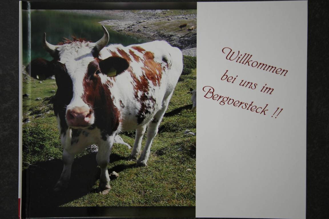 foto12