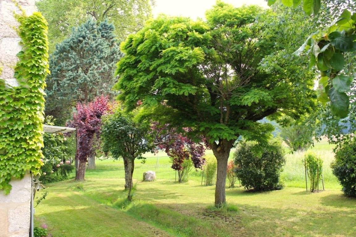 foto17