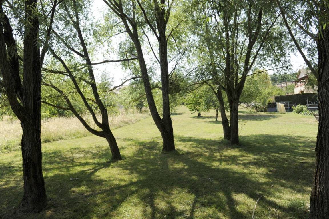foto17