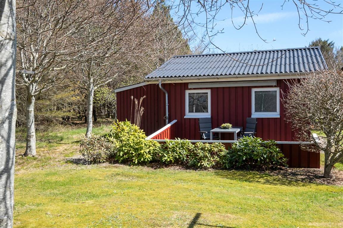 foto20