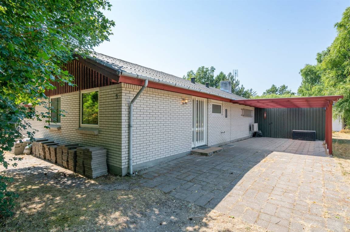 foto23