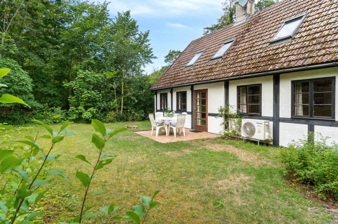 foto20