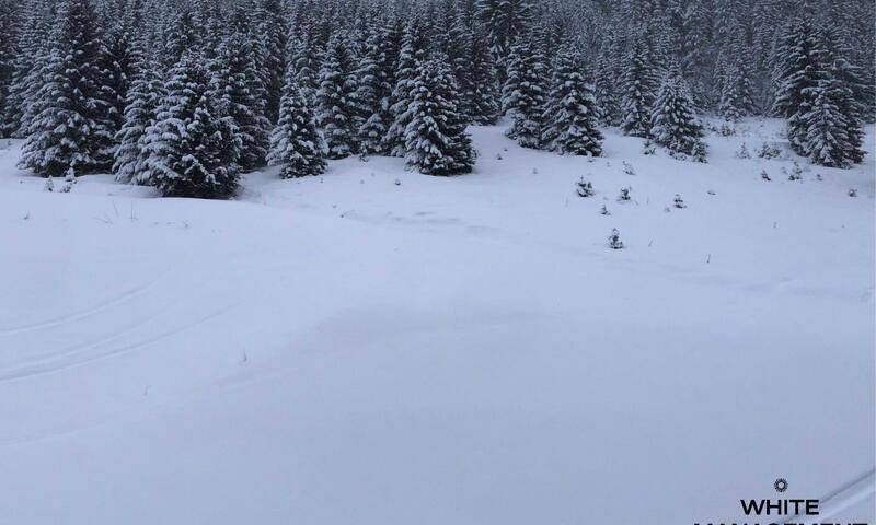 foto13