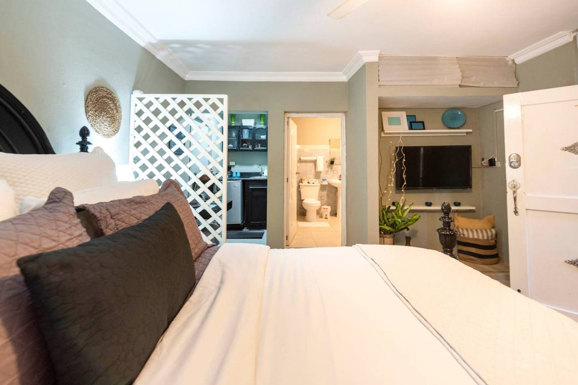 Studio Flat ∙ 1 Bedroom ∙ 2 Guests - Dominican Republic