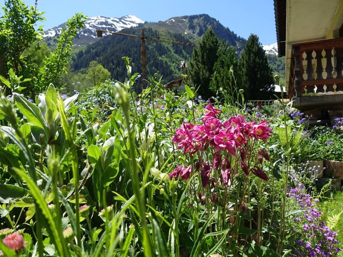45 M² Appartement ∙ 2 Chambres ∙ 7 Personnes - Beaufort