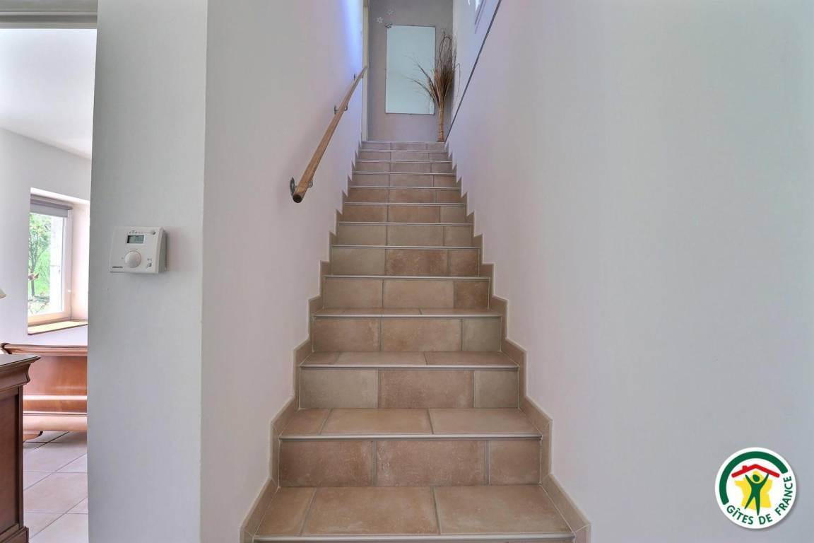 foto19