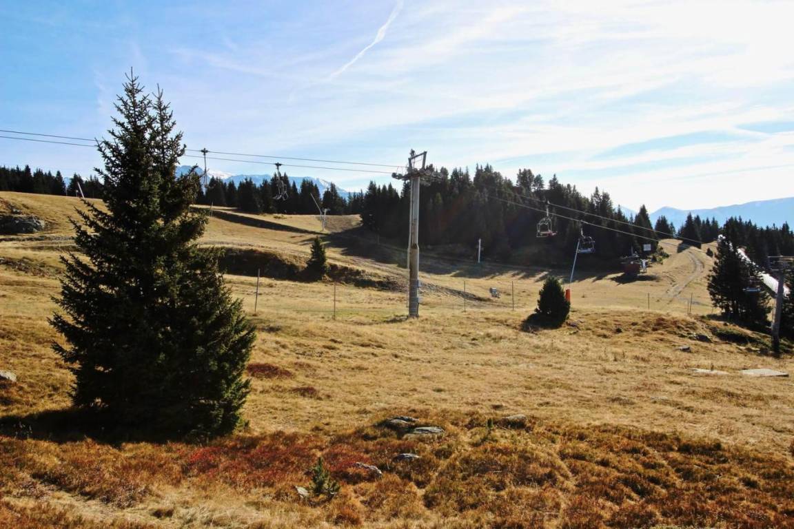 foto11