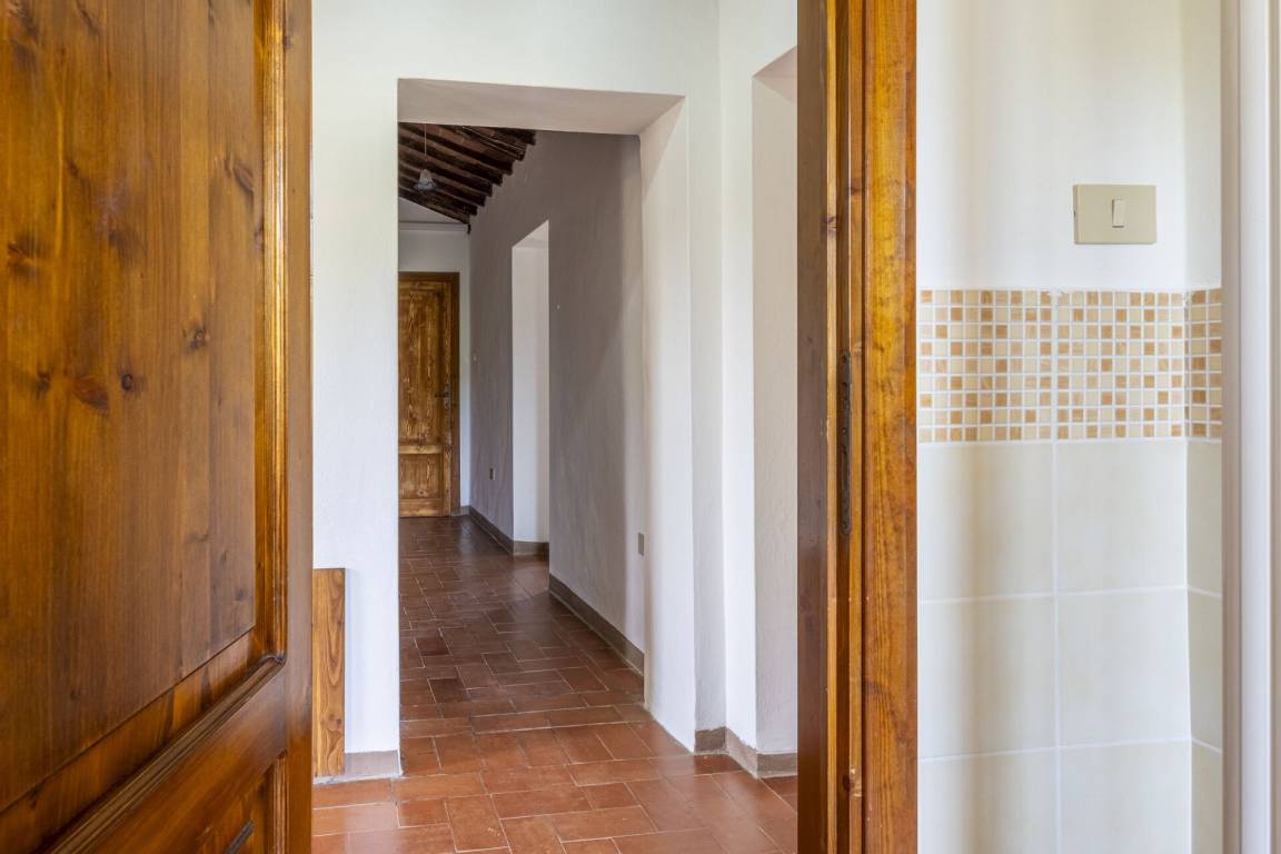 foto41