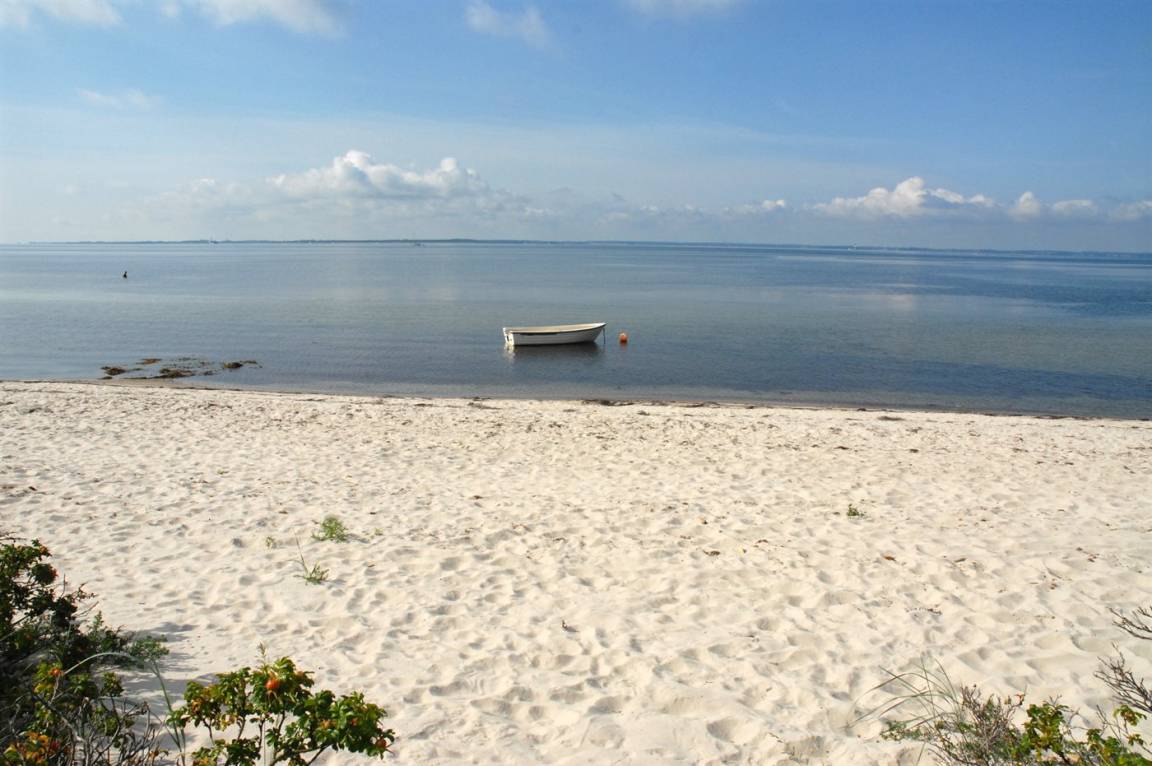 foto17