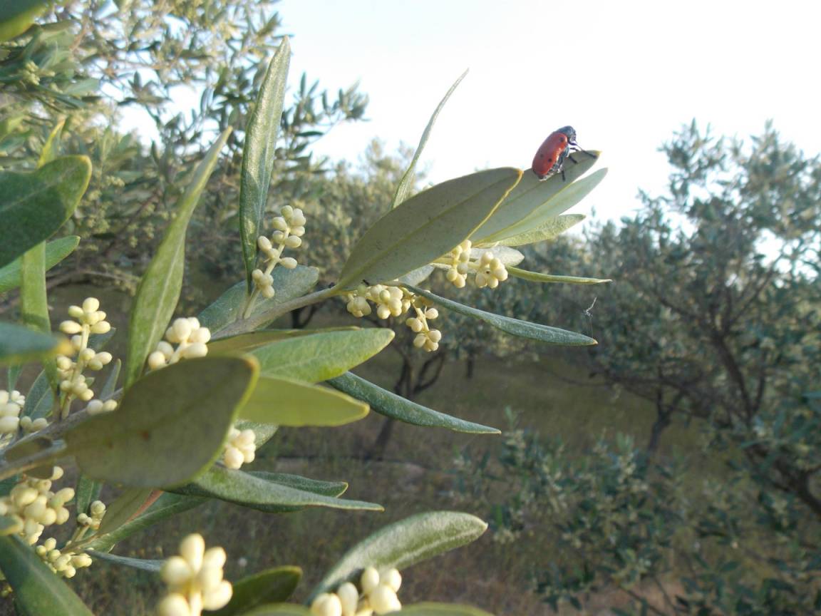 foto20