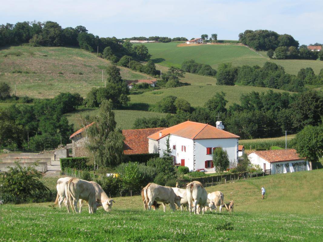 foto16