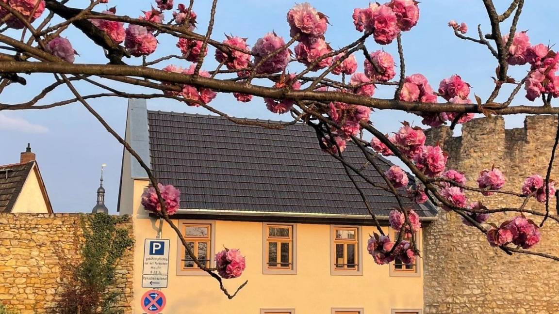 58 M² Apartment ∙ 1 Bedroom ∙ 3 Guests - Wiesbaden