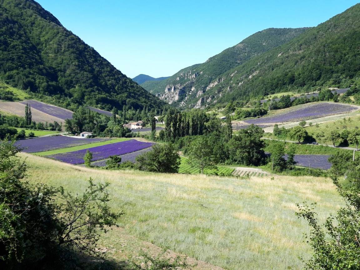 foto21