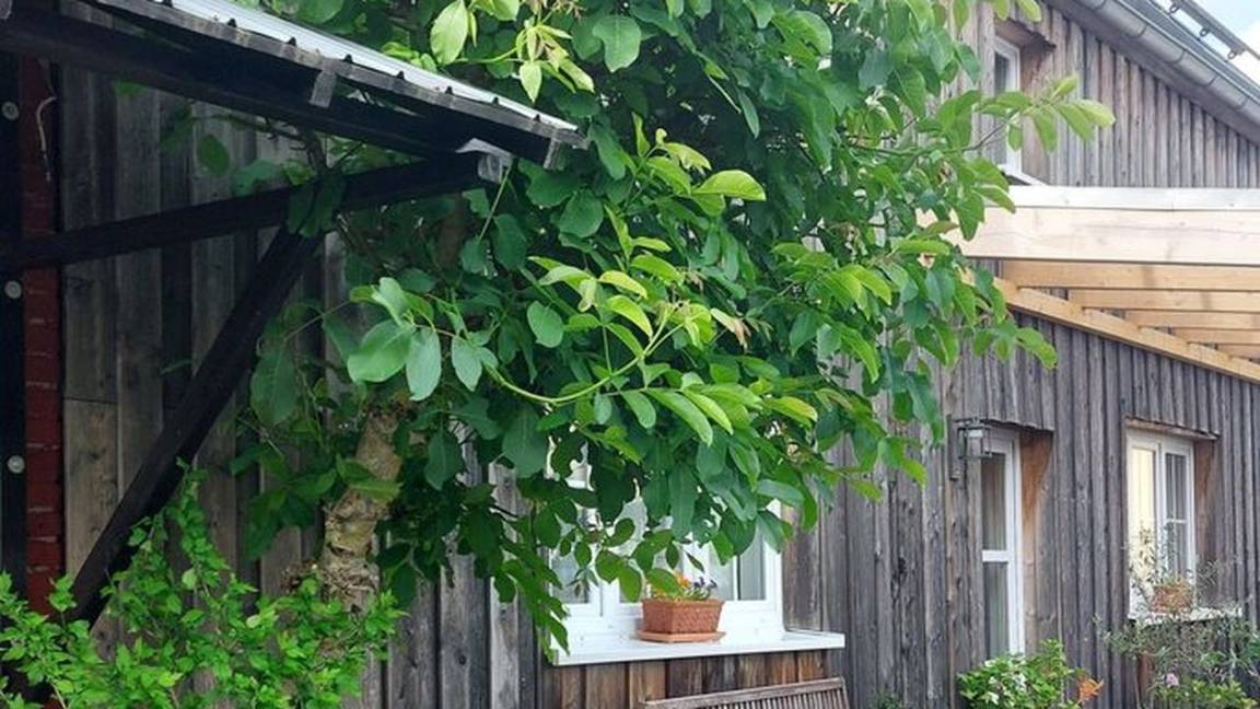 56 M² Ferienwohnung ∙ 1 Schlafzimmer ∙ 4 Gäste - Westerburg