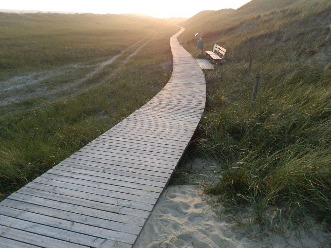 foto13