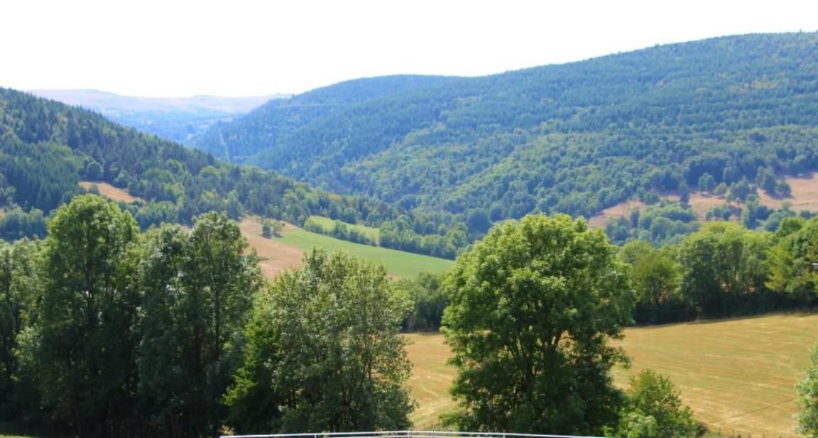 foto19