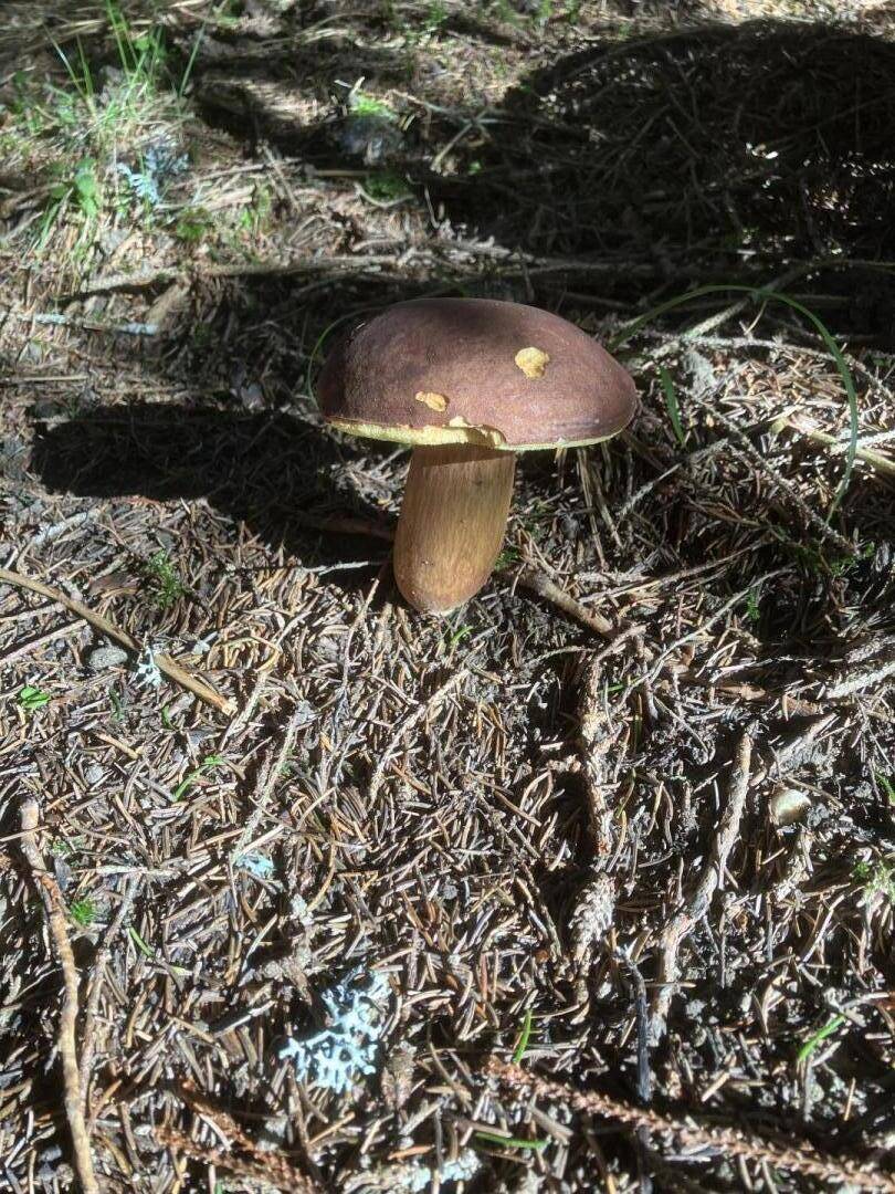 foto22