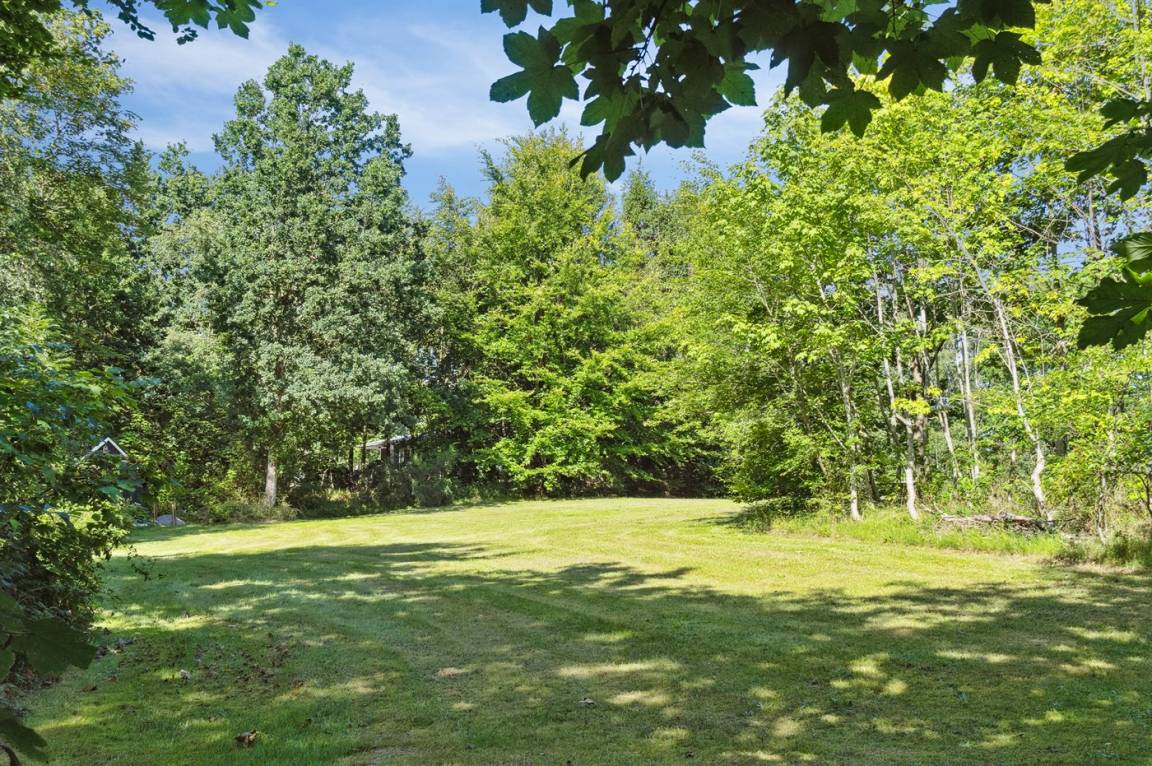 foto16