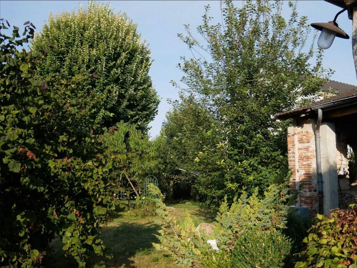 foto22