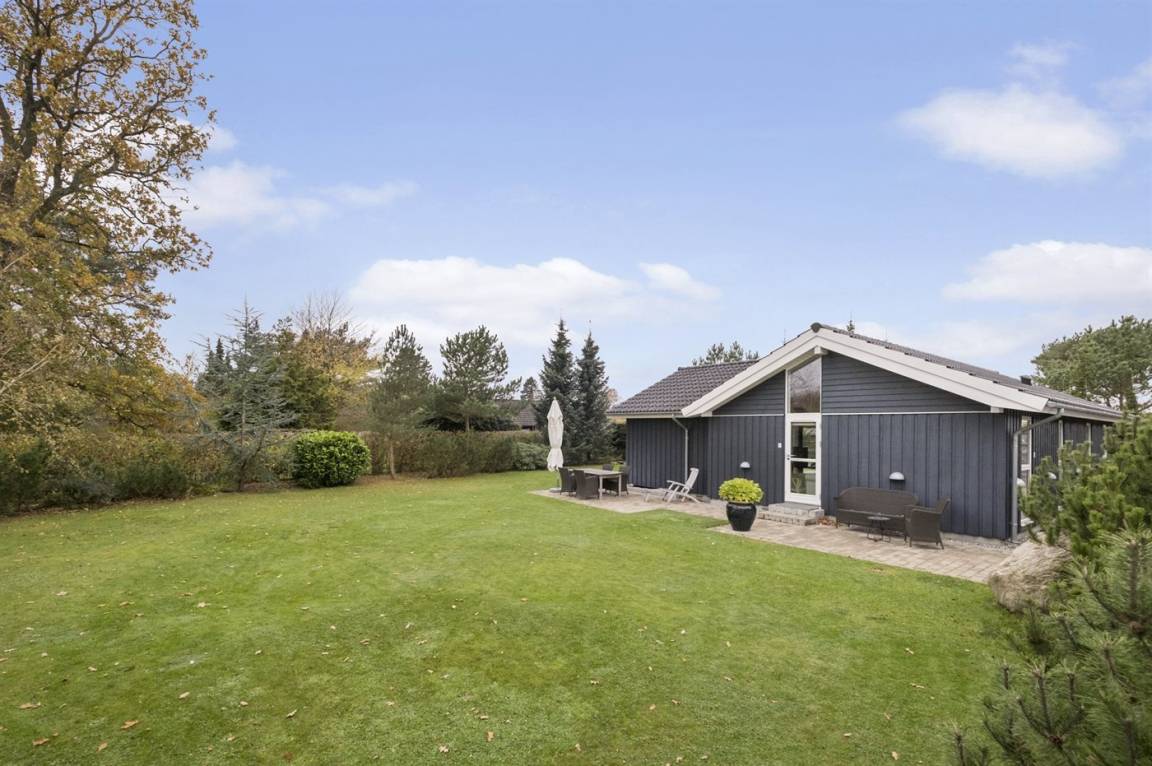 foto8