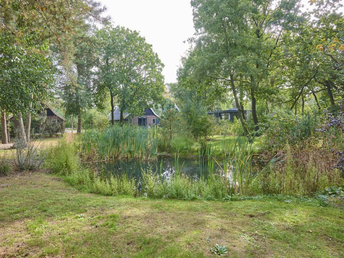 foto33
