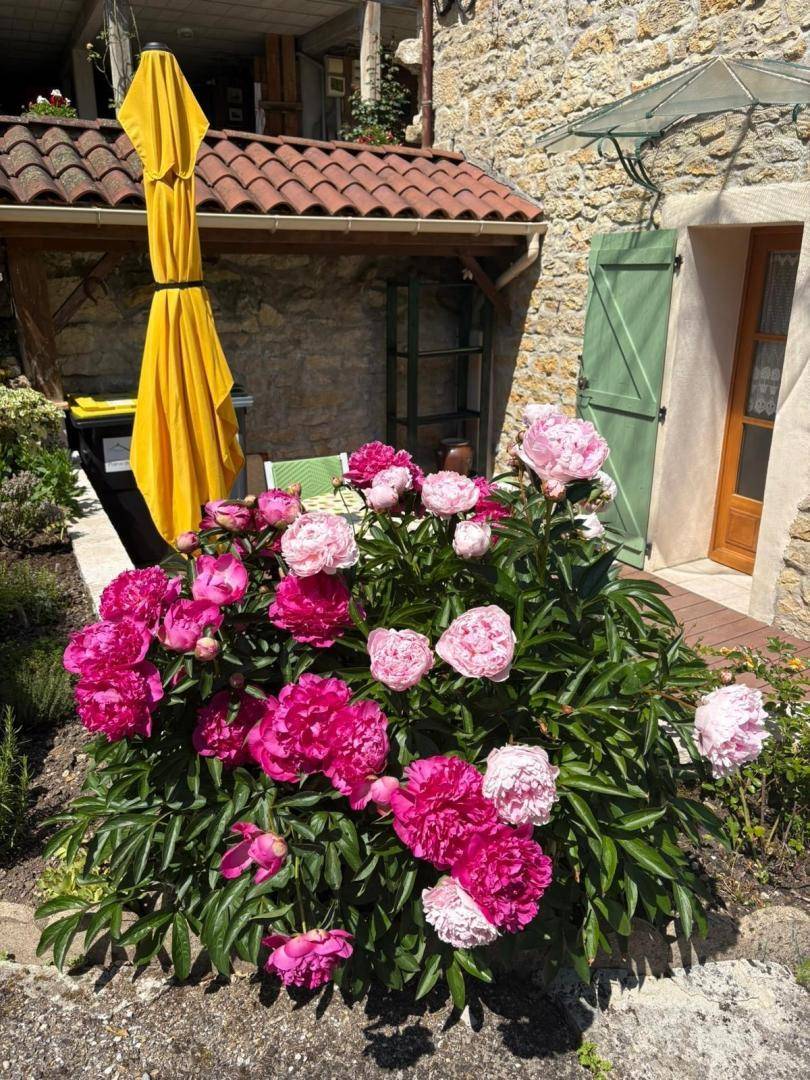 foto17
