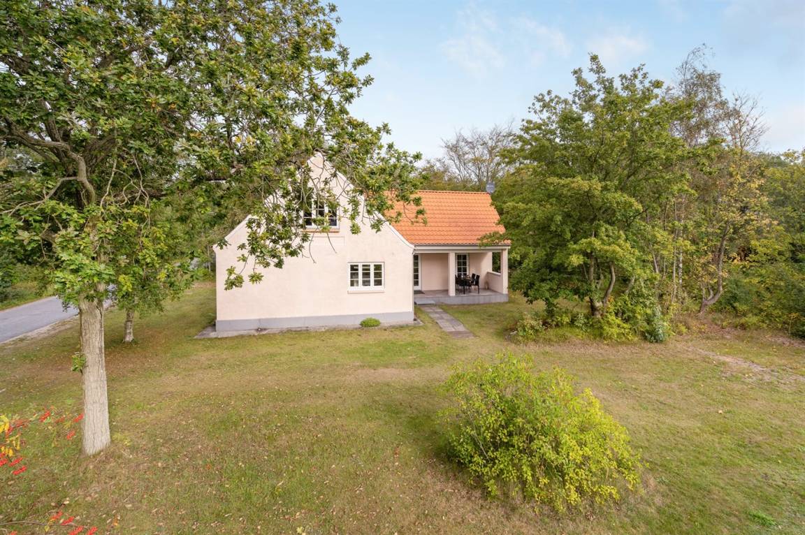 foto16
