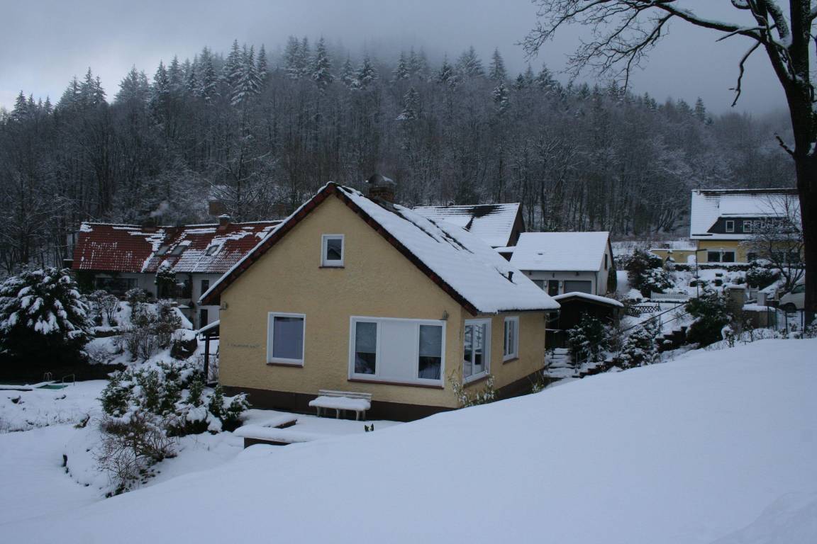 foto1