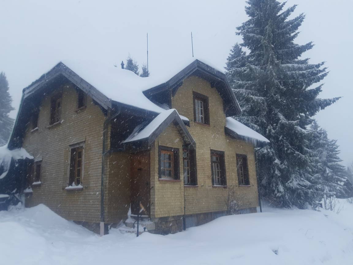 foto1