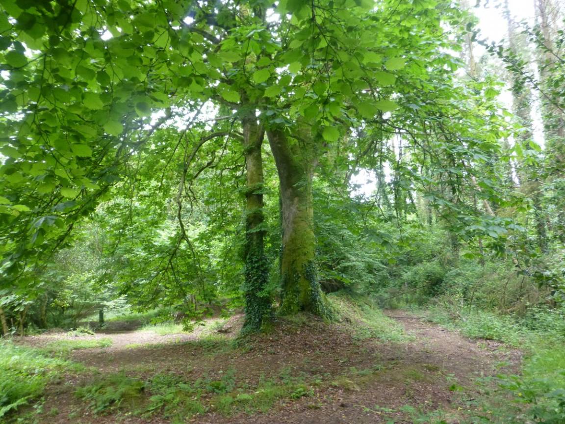 foto21