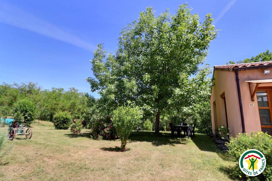 foto19