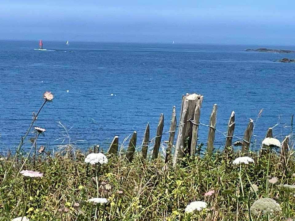 foto34