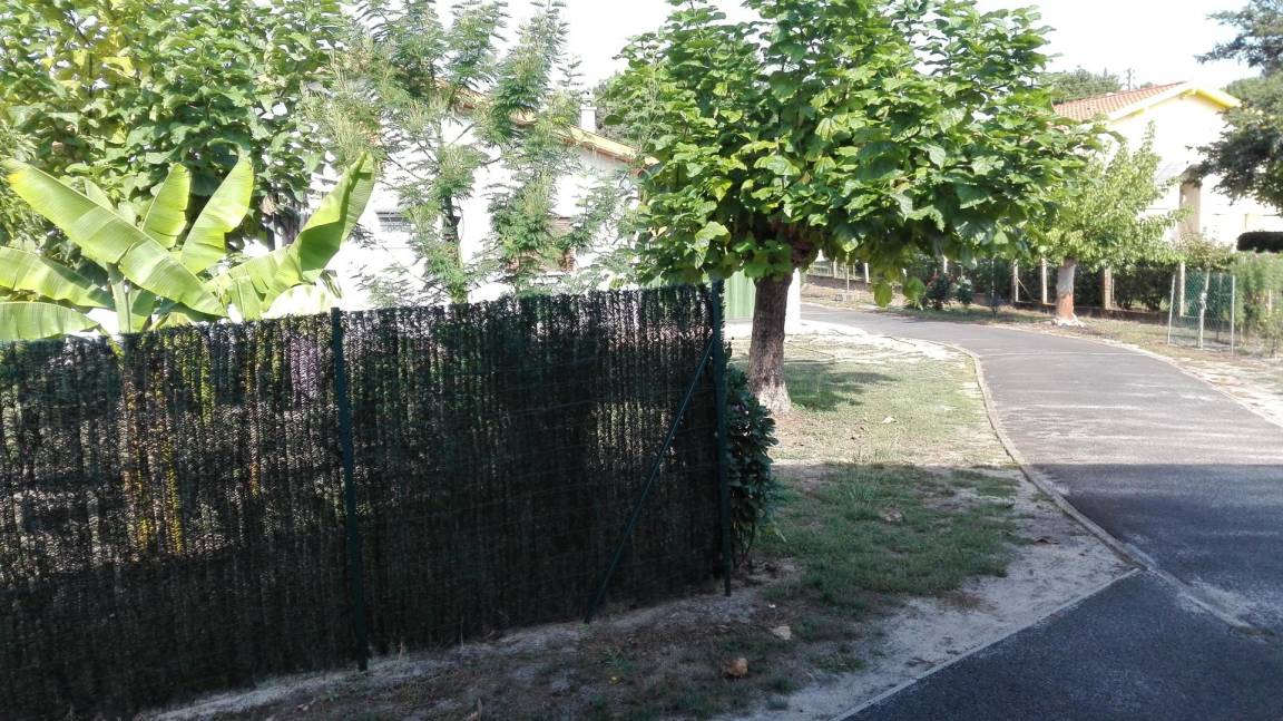 foto19