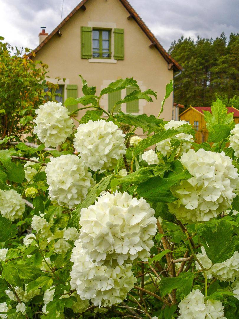 foto16