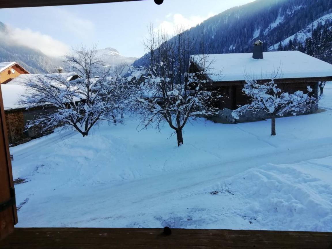 foto2