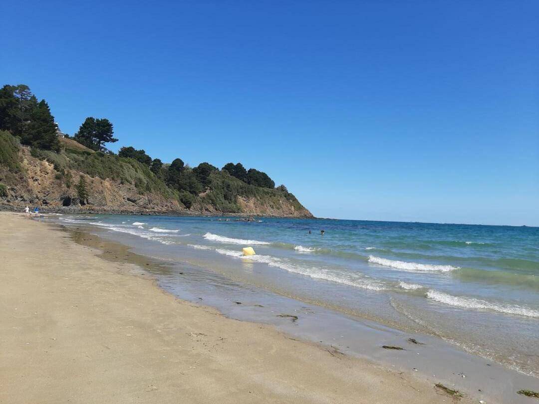 foto2
