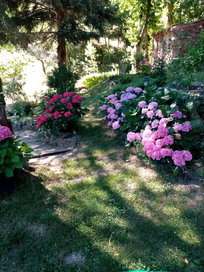 foto18