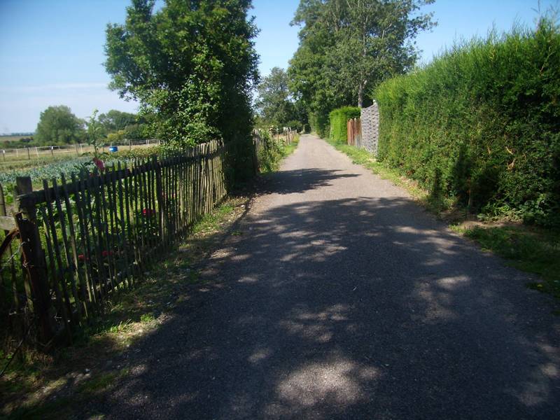 foto16