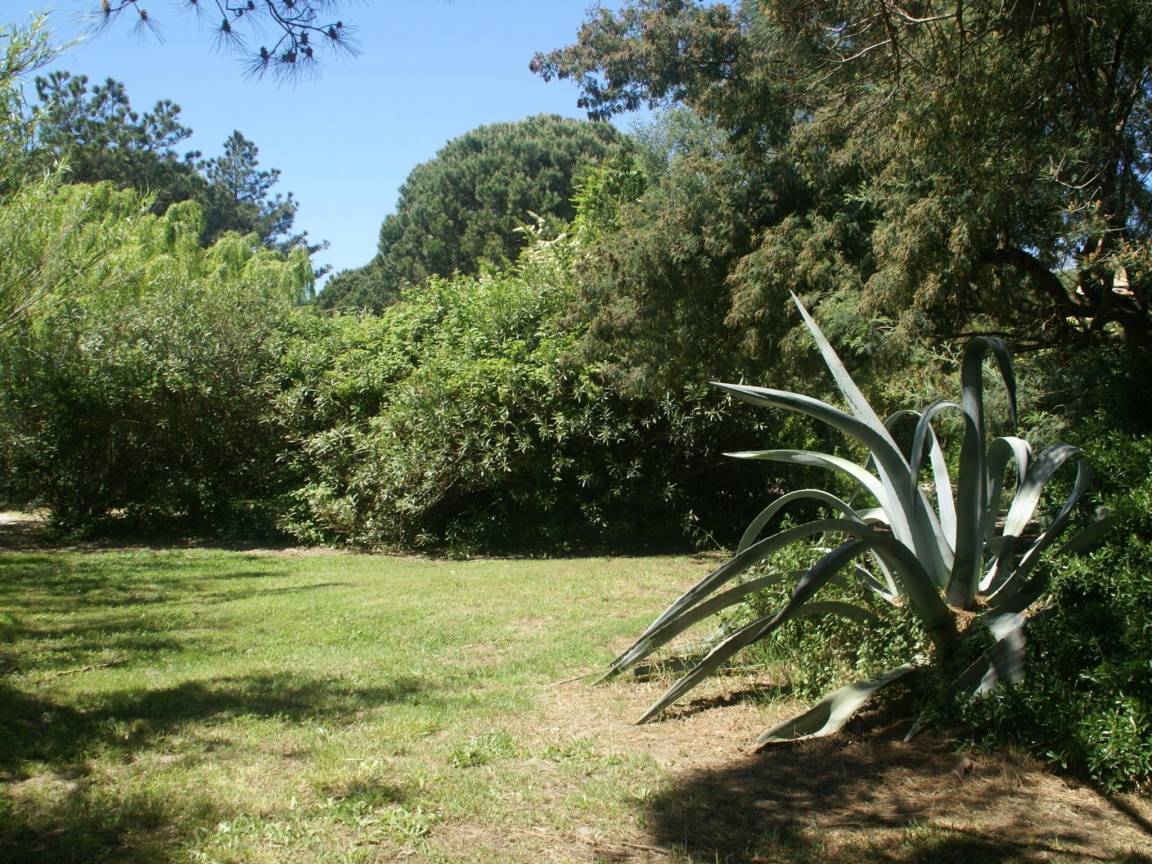 foto21