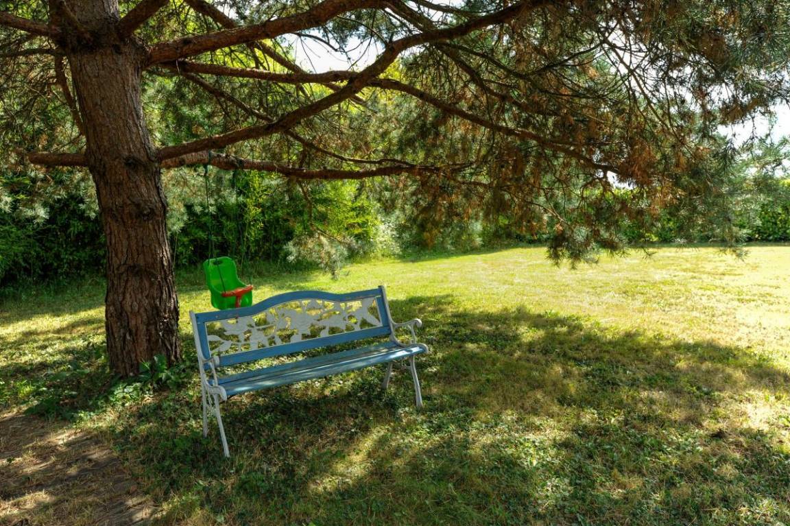 foto6